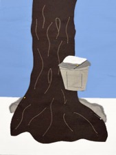 New Designs for 2024